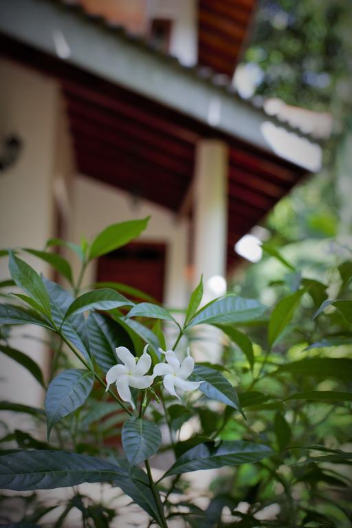 Binara Home Stay Polonnaruwa Eksteriør bilde