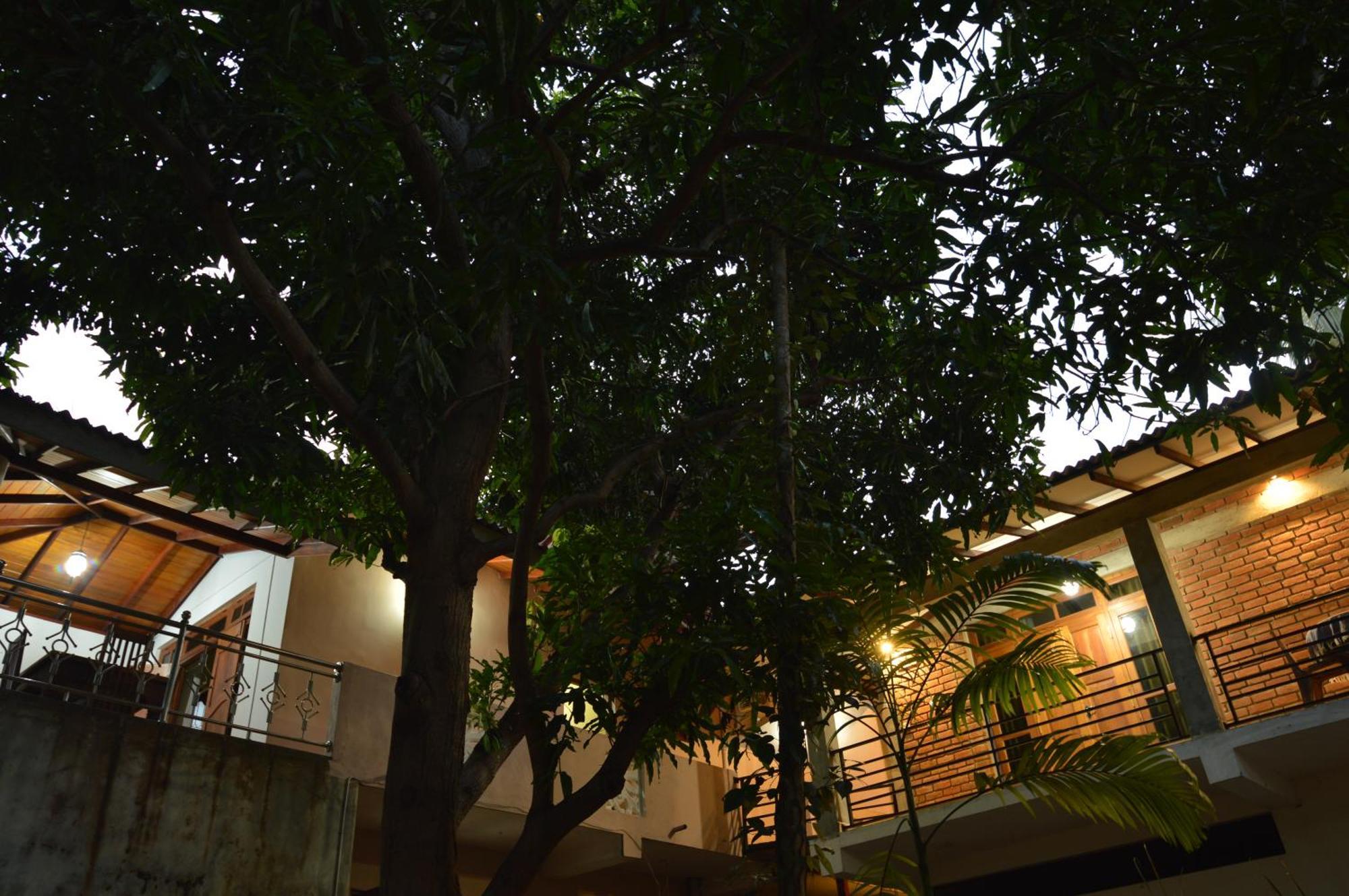 Binara Home Stay Polonnaruwa Eksteriør bilde