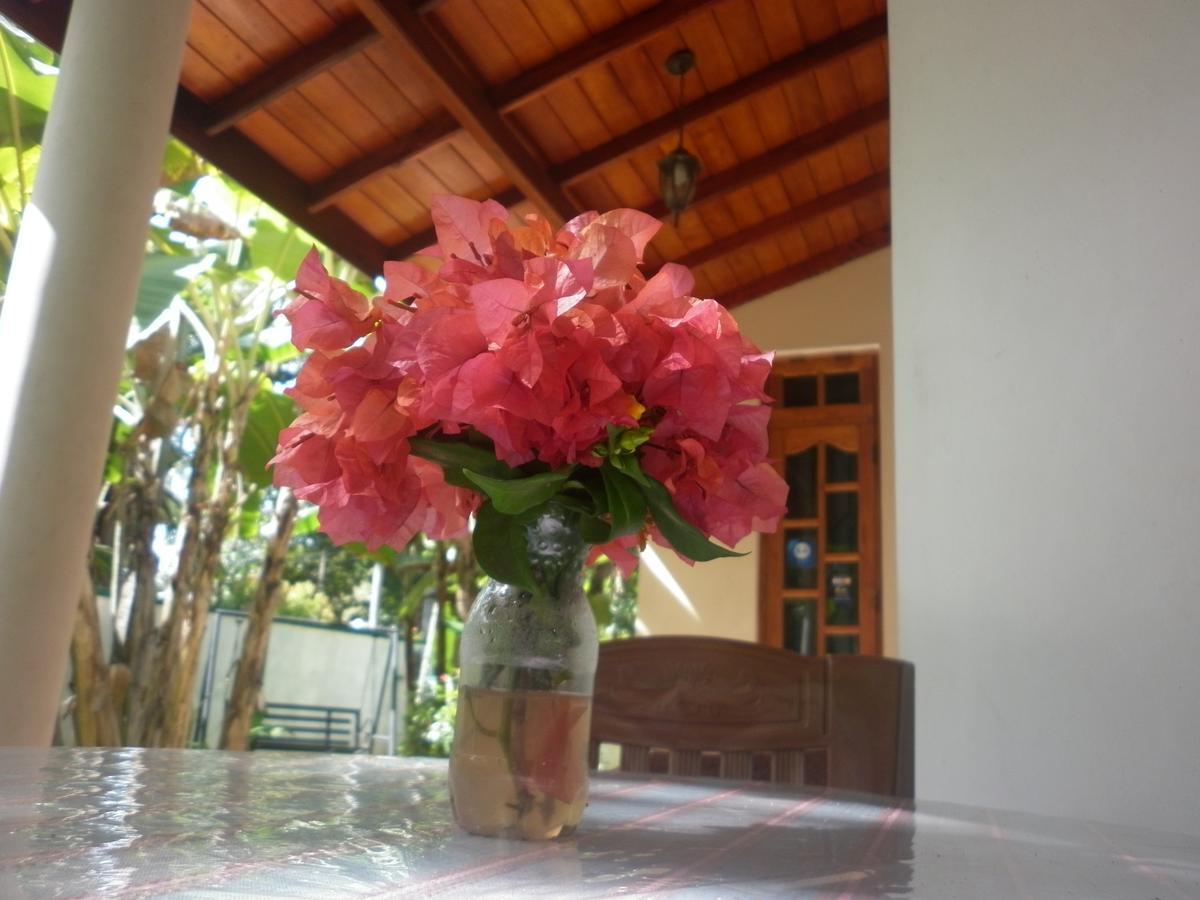 Binara Home Stay Polonnaruwa Eksteriør bilde